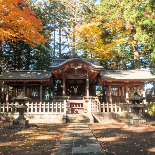「『逃げる』時行を追う」ツアー