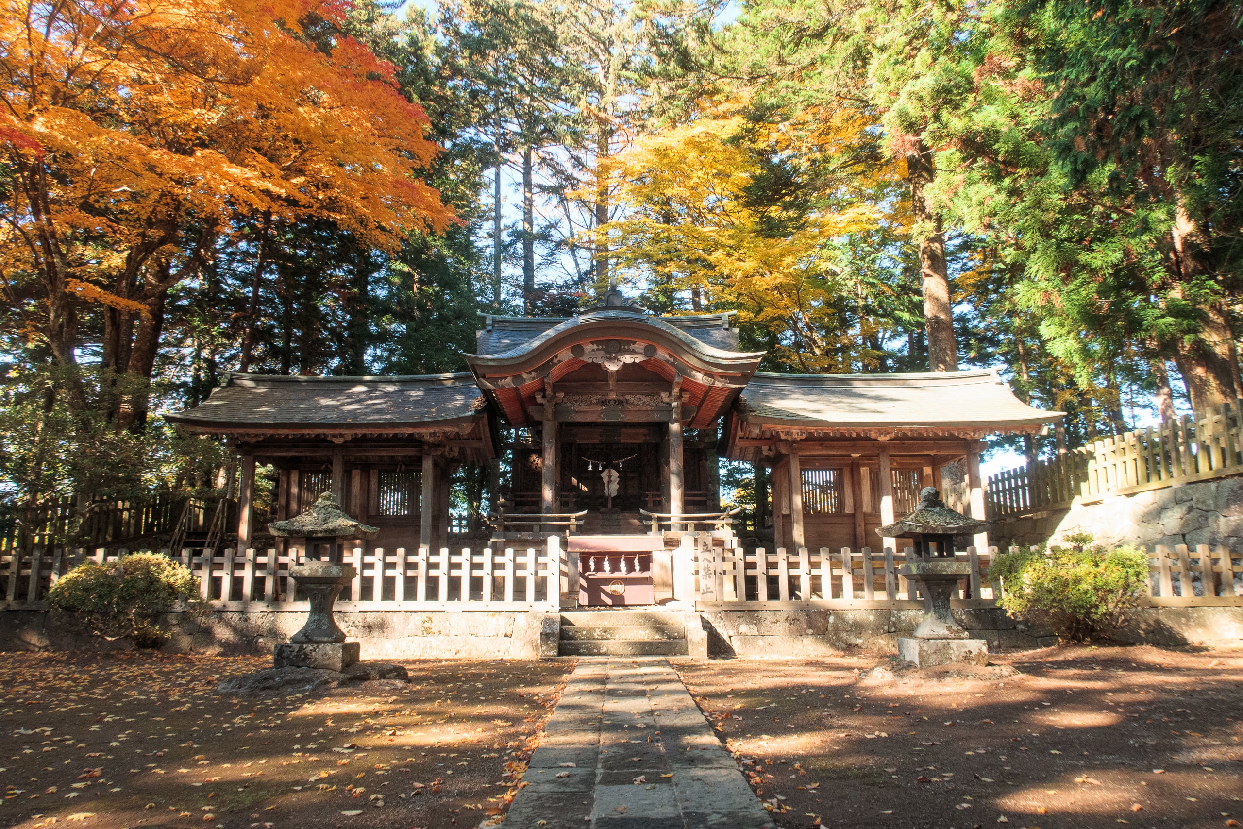 「『逃げる』時行を追う」ツアー