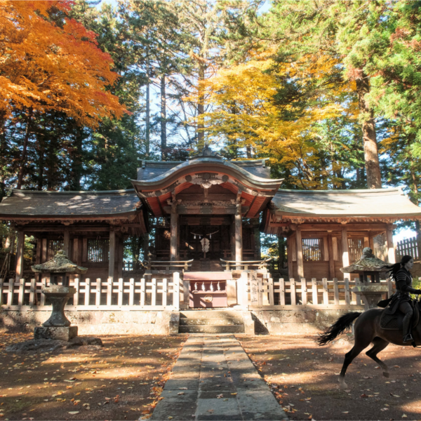 「『逃げる』時行を追う」ツアー