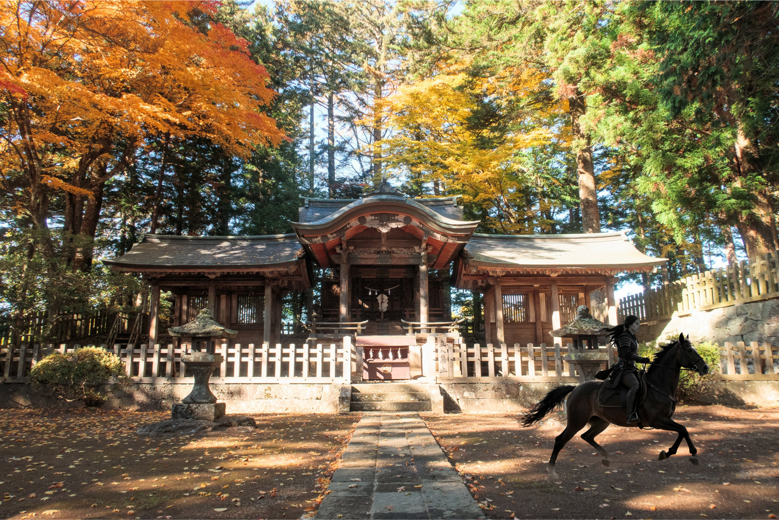「『逃げる』時行を追う」ツアー